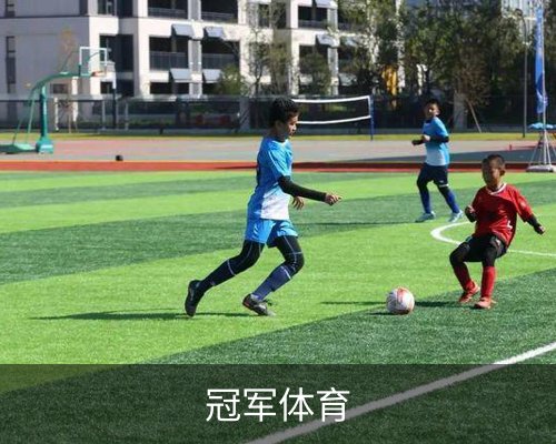 冠军(CHAMPION)官方网站 - 行业领先的体育数据平体育的故事 